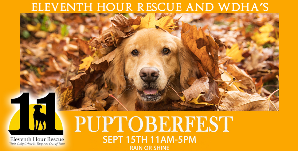 Eleventh Hour Rescue and WDHA's Puptoberfest 2018