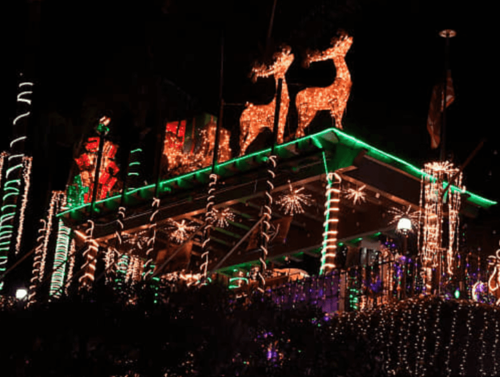 Reindeer Christmas Lights