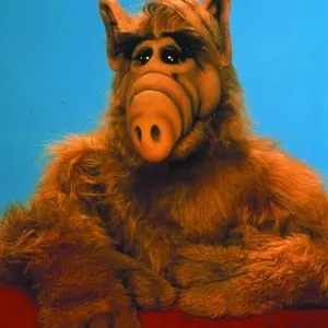 ALF